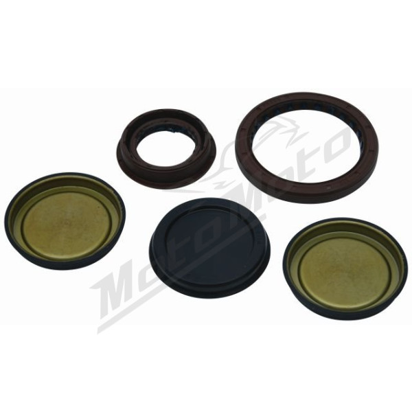 Winderosa (vertex) set (set) of engine seals Polaris Scrambler / Sportsman 850-1000 11-22