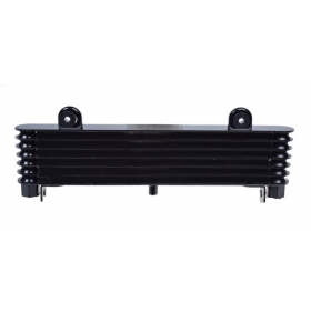 Oil radiator YAMAHA XJ900S 95-03