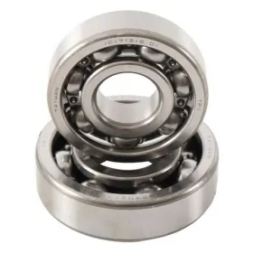 HOT RODS Balansiniai veleno guoliai Yamaha Rhino / Grizzly 550-700 02-15