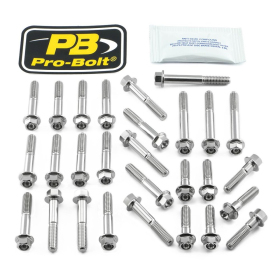 PRO BOLT Stainless Steel Engine Bolt Kit for BMW S 1000cc 15-23