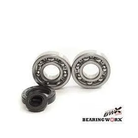 BEARING WORX Alkūninio veleno guolių kompl. Honda CRF 250 06-17