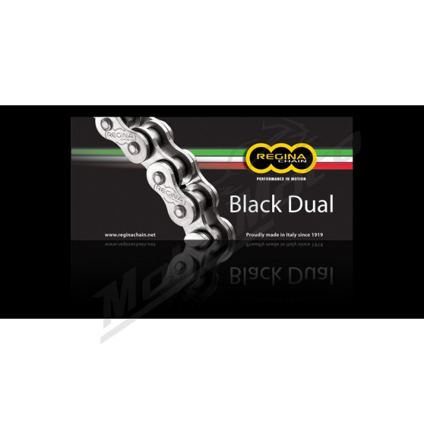 REGINA Dual 520ZRA Z-Ring Chain 112 links