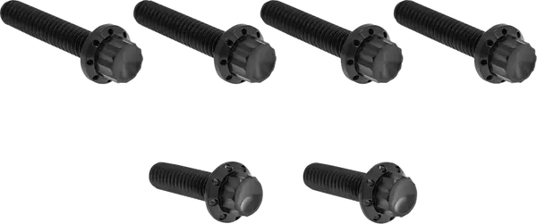 Arlen Ness Set Of Bolts For The Transmission Side Cover Black Harley Davidson FLD / FLDE 1450-1977cc 06-25