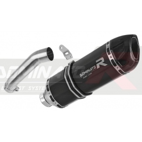 Exhaust kit Dominator HP1 BLACK BMW HP2 1200 Enduro 2004-2007