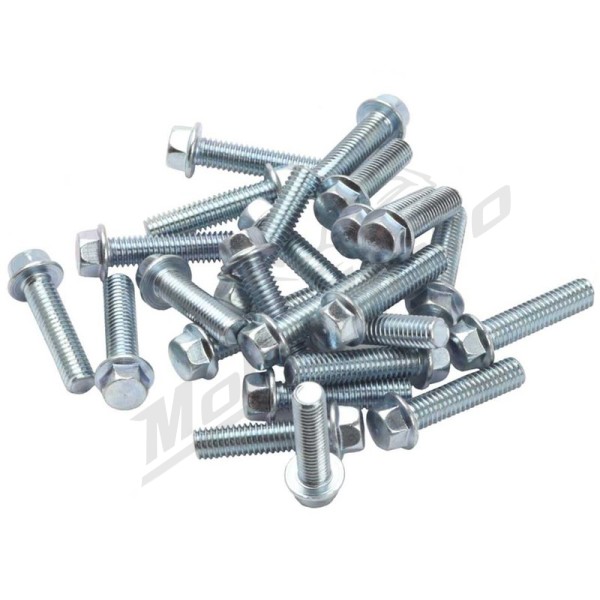RFX M6 Flange Head Bolt Pack M6 x 12/35 mm - 25 pieces