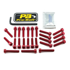 PRO BOLT Aluminium Engine Bolt Kit For Kawasaki Z 900cc 18-24
