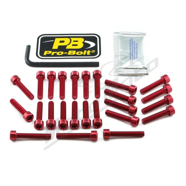 PRO BOLT Aluminium Engine Bolt Kit For Kawasaki Z 900cc 18-24