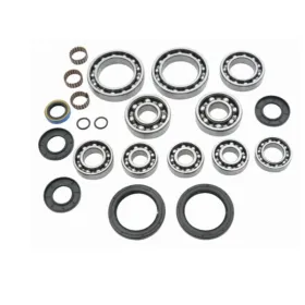 ALL BALLS Galinio reduktoriaus remonto kompl. Polaris Diesel / Sportsman 400-500 00-03