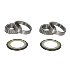 PIVOT WOKRS Vairo mechanizmo guolių kompl. Aprilia / Ducati / Honda / Kawasaki 400-1200cc 88-25