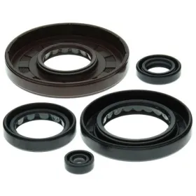Winderosa (vertex) set (set) of engine seals Honda TRX 500 FA / FGA / FPA 01-14