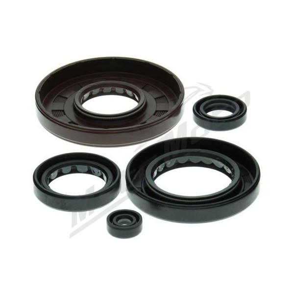 Winderosa (vertex) set (set) of engine seals Honda TRX 500 FA / FGA / FPA 01-14