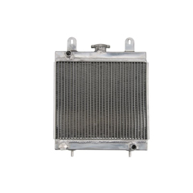 4Ride Radiator Polaris Scrambler / Xplorer 400-500 01-09