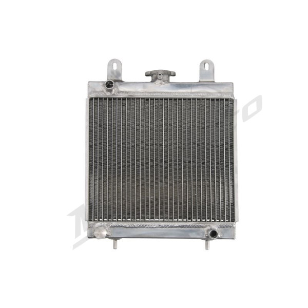 4Ride Radiator Polaris Scrambler / Xplorer 400-500 01-09