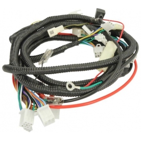 Wiring harness CHINESE SCOOTER 50cc 2T R12