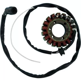RICK'S MOTORSPORT ELECTRIC Stator Kawasaki ZX-12R 02-03
