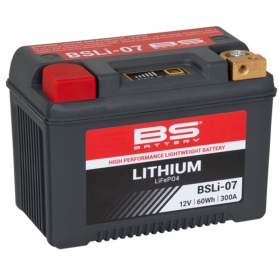 BS BATTERY Battery Lithium-Ion BSLI-07 12V 5AH