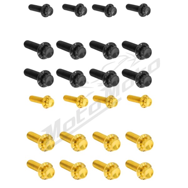 ARLEN NESS Transmission Side Cover & Trap Door Titanium 12-Point Bolt Kit 12pcs. M8