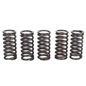 TRW Clutch springs set Husqvarna / Suzuki / Triumph 250-900 91-10