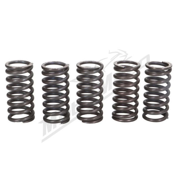 TRW Clutch springs set Husqvarna / Suzuki / Triumph 250-900 91-10