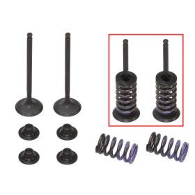 Psychic 2024/03 exhaust valves (valve set with springs and washers) Yamaha WR-F / YZ-F 250cc 14-23