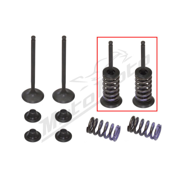 Psychic 2024/03 exhaust valves (valve set with springs and washers) Yamaha WR-F / YZ-F 250cc 14-23