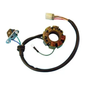 ELECTREX Stator Kawasaki / Suzuki 250cc 05-10