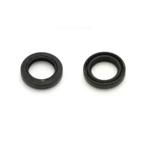 CENTAURO Oil Seal Set 25x38x7mm