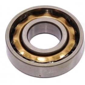 atviras Guolis NSF E-15 