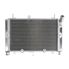 4Ride Radiator YAMAHA FZS 1000 2001-2005