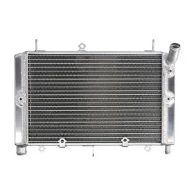 4Ride Radiator YAMAHA FZS 1000 2001-2005