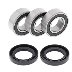 ALL BALLS Rear wheel bearings and seals Husqvarna TE / SM 610 99-03