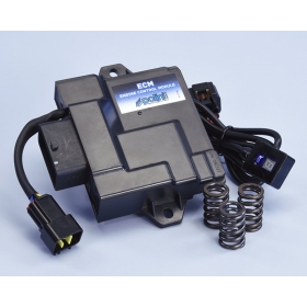 POLINI Engine Control Module ECU Vespa Sprint / Primavera 50cc 17-20