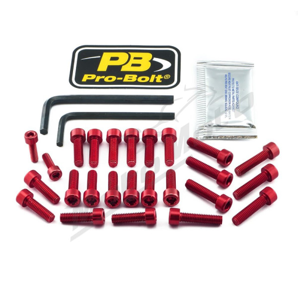PRO BOLT Aluminium Engine Bolt Kit For BMW 1250cc 19-24