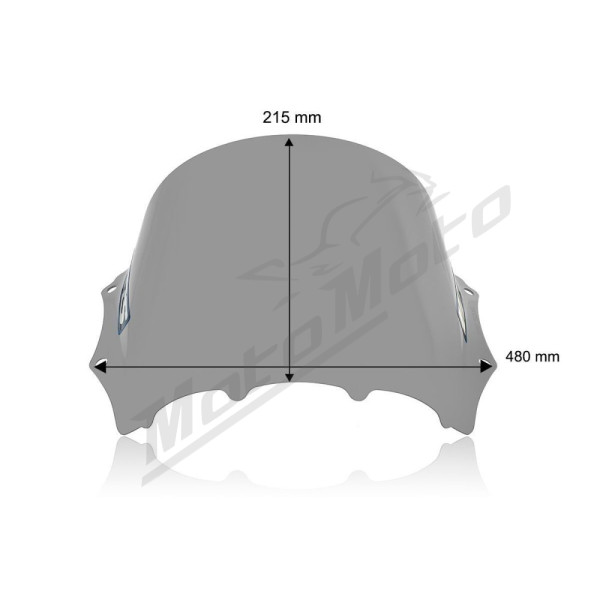 WRS Race Priekinis stiklas Lengvai Tamsintas BMW M1000RR ABS 23-24