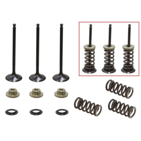 Psychic intake valves Yamaha WR 250 F 01-13