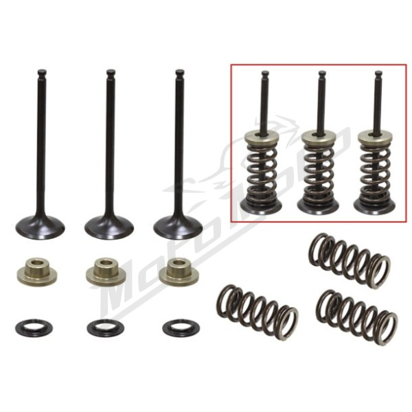 Psychic intake valves Yamaha WR 250 F 01-13