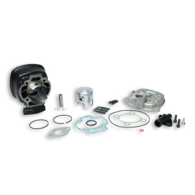 Cilindro komplektas MALOSSI Sport ketinis Ø47 Pirštas Ø10 Derbi / Cagiva / Husqvarna 50 97-02 H2O 2T