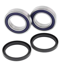 ALL BALLS Rear wheel bearing kit Can Am DS 250 06-16