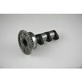 Hot cams camshaft Yamaha YZF / WRF 450 03-15
