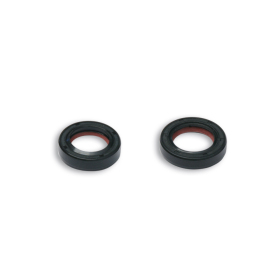 Crankshaft Oil Seal Set MALOSSI FKM/PTFE Aprilia / Derbi / Gilera / Italjet / Piaggio / Vespa 50cc 91-20 2T