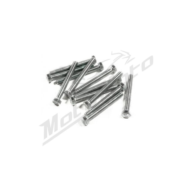Galvanized steel bolts M7 12pcs