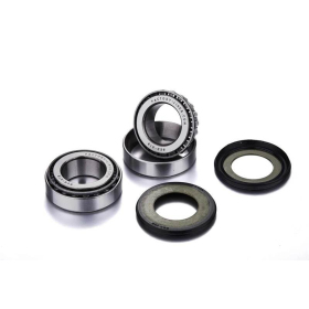 FACTORY LINKS Rear Wheel Bearing Kit  Arctic Cat 400-500 97-00