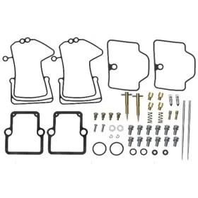 Sno-X Carburetor repair kit Ski-Doo