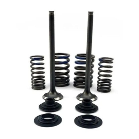 Psychic INTAKE VALVE KIT Honda CRF 250cc 19-24