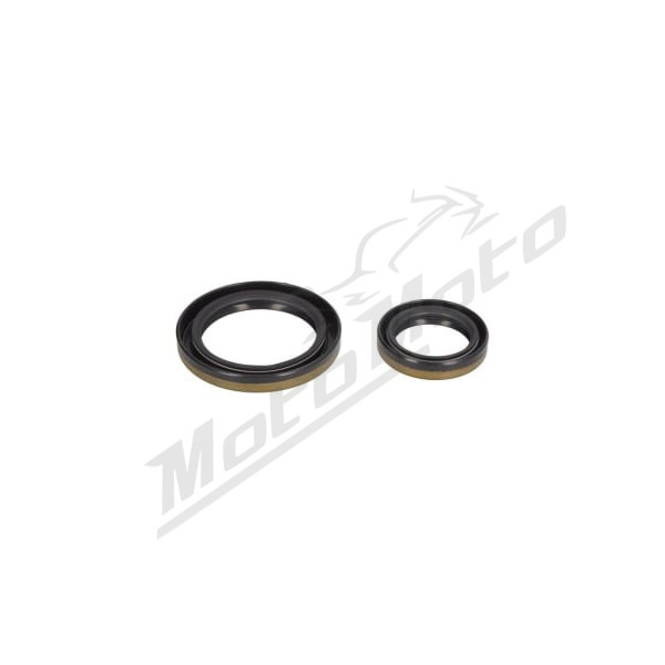4RIDE Crankshaft bearings Beta EVO 250-300cc 09-22