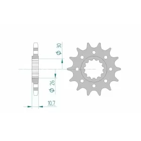 AFAM plieninė standartinė priekinė žvaigždutė 21805 - 525 15-17 dantukų YAMAHA YZF-R1 1000 98-14