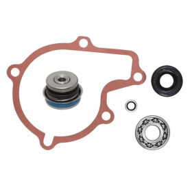 BRONCO Water Pump Repair Kit Polaris Sportsman 550 09-14