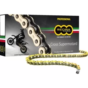REGINA 420 RH2 Drive Chain 128 Links