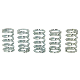 TRW Clutch springs set Kawasaki ER / GPZ / KLE / W / Z 500-1000 79-07