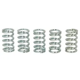 TRW Clutch springs set Kawasaki ER / GPZ / KLE / W / Z 500-1000 79-07